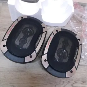 pioner 550w