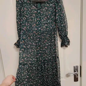 sifon