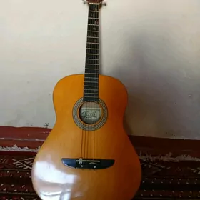 GitaraJerwis