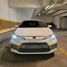 Toyota Corolla 2019