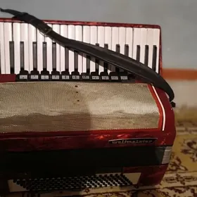 Watmeister Akordion