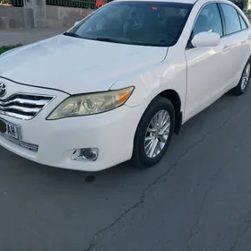 Toyota Camry 2010