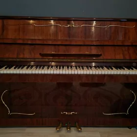 Фортепиано/Fortepiano