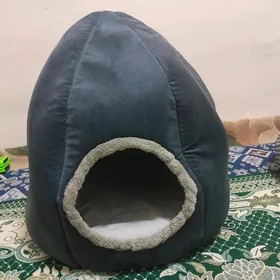 Domık pisıjegın öýi