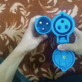 3 faza rozetla
