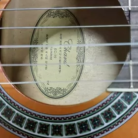 gitara classic