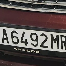 Nomer yitdi