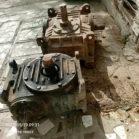 Radukdyr