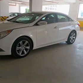 Hyundai Sonata 2010