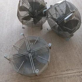 ventilyator