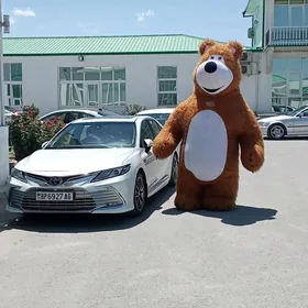 Panda mişka