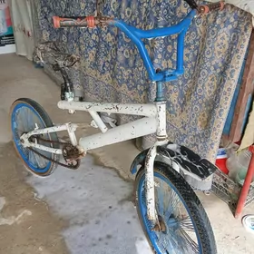 welsewıt