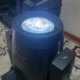 beam 230