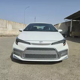 Toyota Corolla 2021
