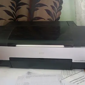 EPSON  14 10