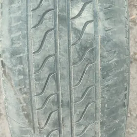 pakryska