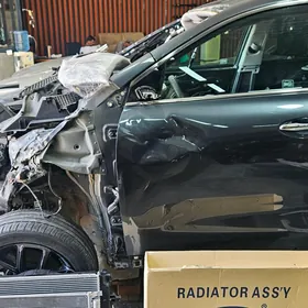 Kia Sorenta 2019 Morda