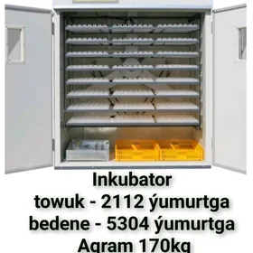 ZAKAZA INKUBATOR TOWUK HORAZ