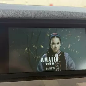 uly monitor klip acy