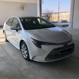 Toyota Corolla 2020