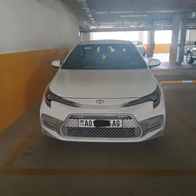 Toyota Corolla 2022