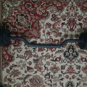 Stanga