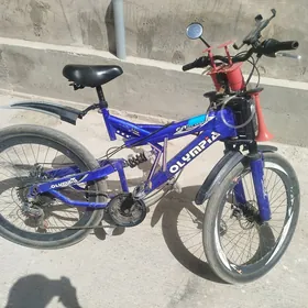 spartivni velik