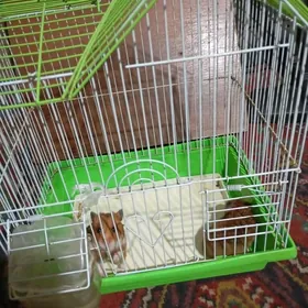 hamyak
