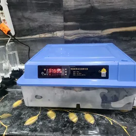 Inkubator