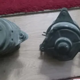 lopus matorçik