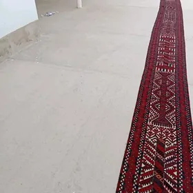 Ak yup garaja oye dakylyan