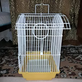 клетка