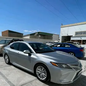 Toyota Camry 2020