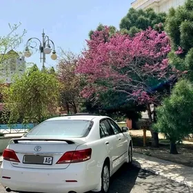 Toyota Aurion 2011