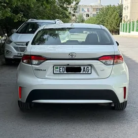 Toyota Corolla 2020