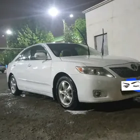 Toyota Camry 2010