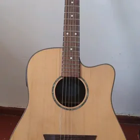 Akustik gitara