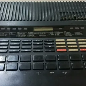 SAZ GURALY RX-5