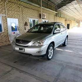 Lexus RX 330 2004