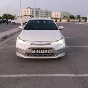 Toyota Corolla 2020