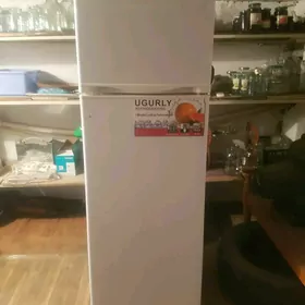 Holodilnik we morozilnik.