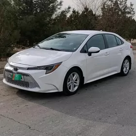 Toyota Corolla 2019