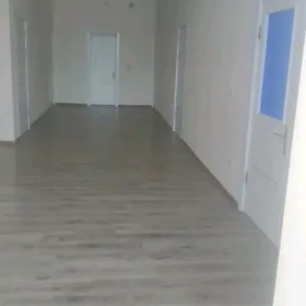 SATLYK JAY TAZE ZAMAN