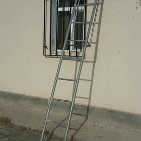Basgançak lesnisa