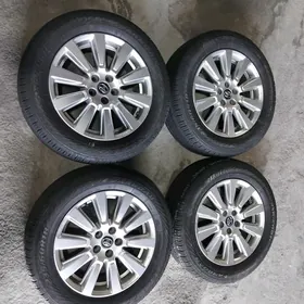 SIENNA ARGINAL DISGA 18 LIK