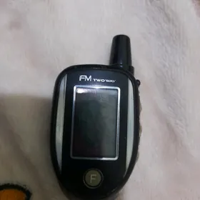 Majigar pult tapyldy