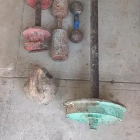 stanga gira gante