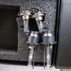 lampa blijny dalny