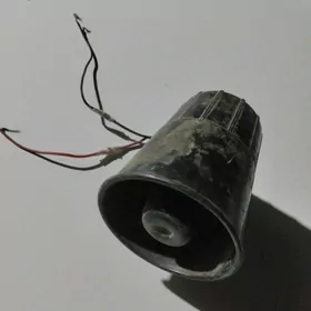 Signal