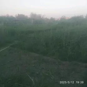 затон дача zaton daca